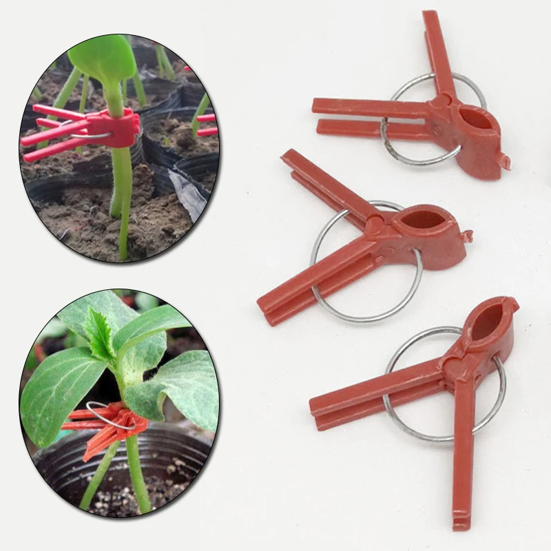 
50pcs Grafting Watermelon Garden Vegetable Flower Vine Stalks Fix Grow Upright Plant Support Garden Clips Set 