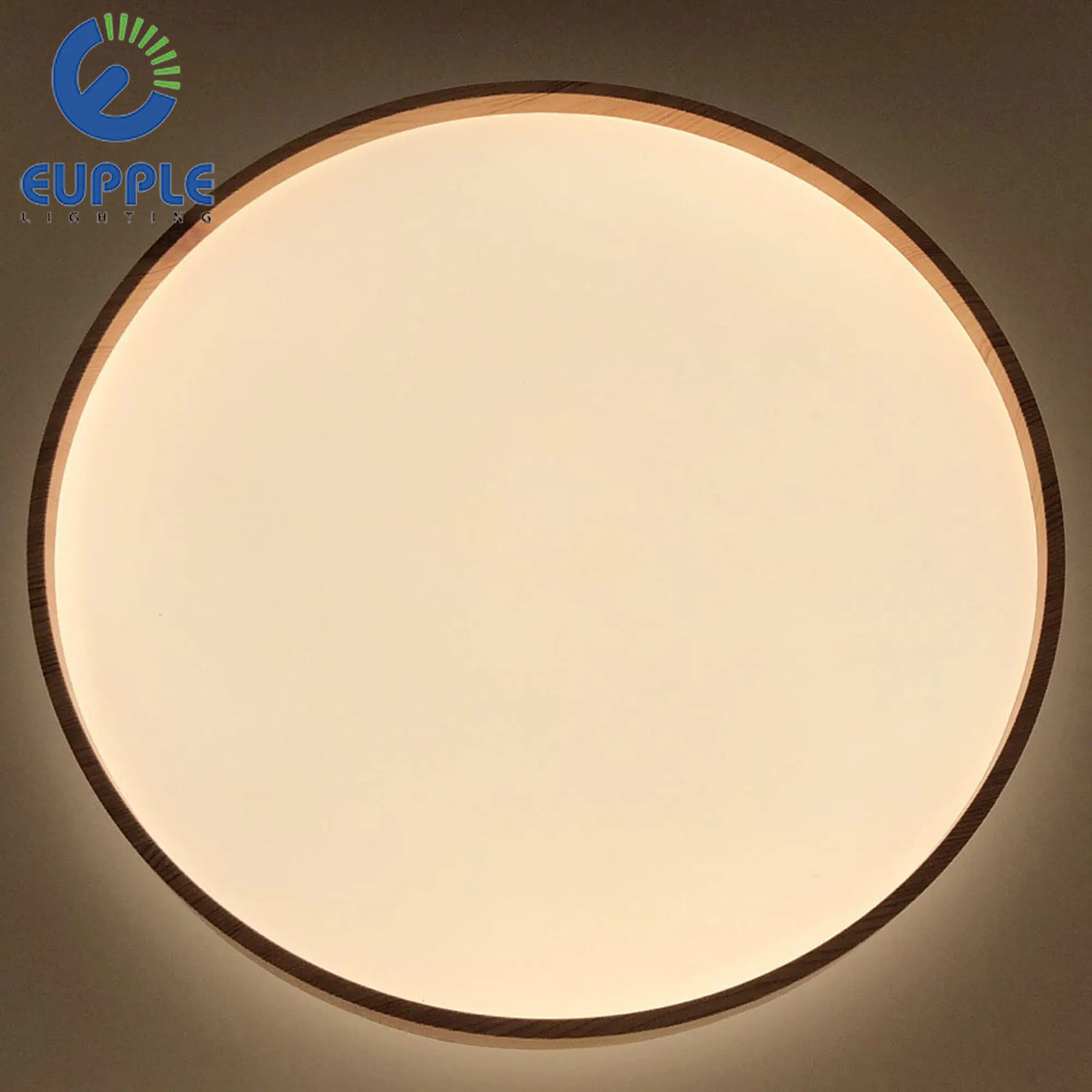 NEW trend product!!Ultra Thin 5cm China Modern flush mount shape indoor use 2021 innovative new product