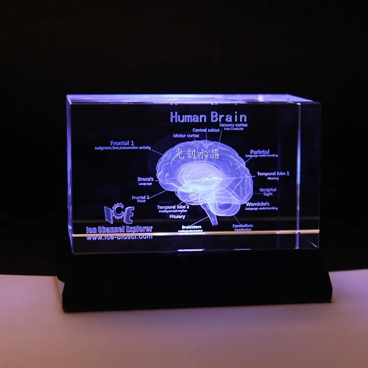 March EXPO 2022 Crystal carved 3D brain heart image cube /Block