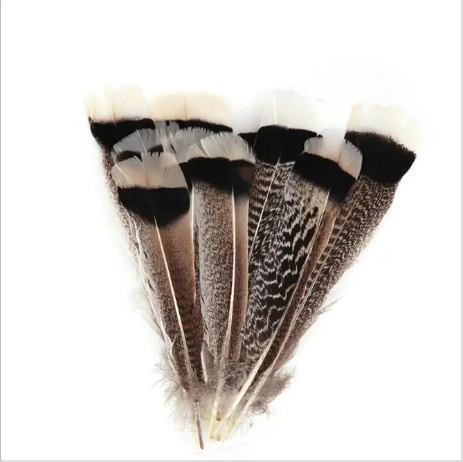 10-12inch Turkey Tail Feather Wholesale Feather Suppliers Natural pheasant feather
