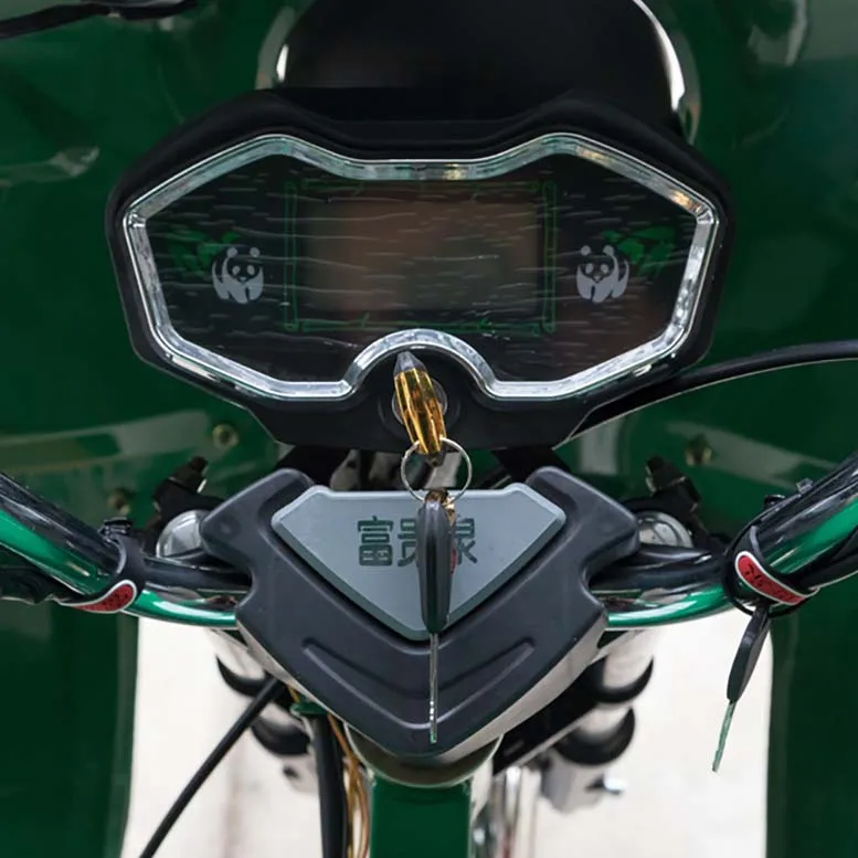 Well-Design 3 Three Wheel Delivery Electric Tricycle Cargo with Cabin