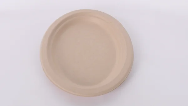 Biodegradable plates sell off disposable bagasse food containers100% compostable sugarcane bagasse food dishes for dinner
