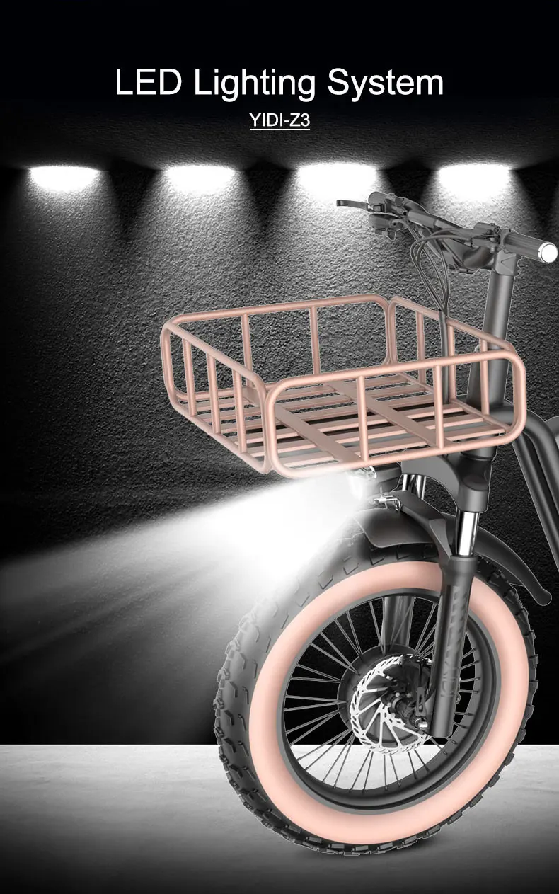 Electric Double Scooter Motor Electric Mountain Bike Family Cargo Speed Bike With Seat