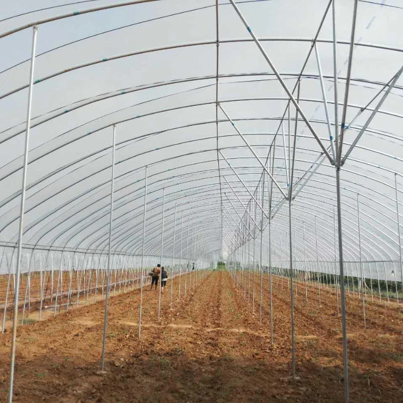 Multi-Use Film Greenhouse for Diverse Crop Rotation Techniques and Yield Improvement Strategies