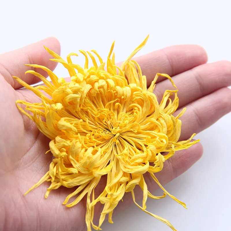 Best selling product flower tea Golden silk chrysanthemum tea