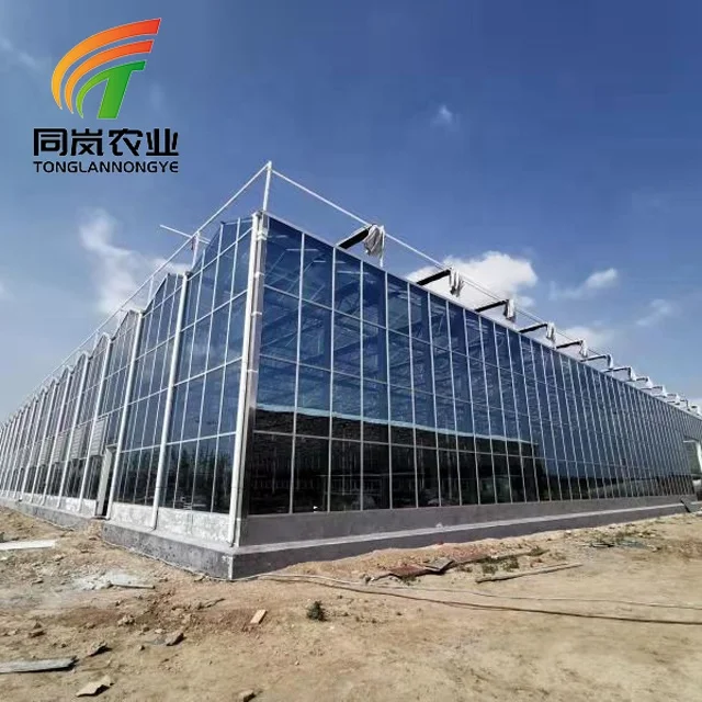 Complete glass agricultural greenhouse turnkey project with rapid construction