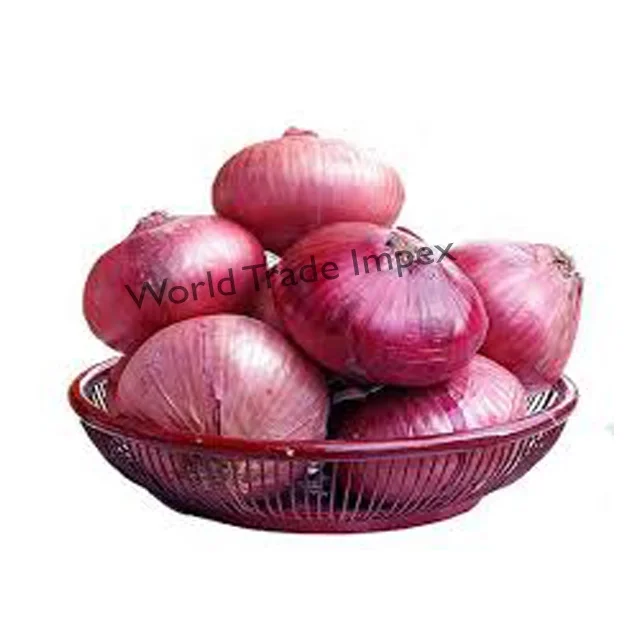 
Natural red fresh Indian onion 