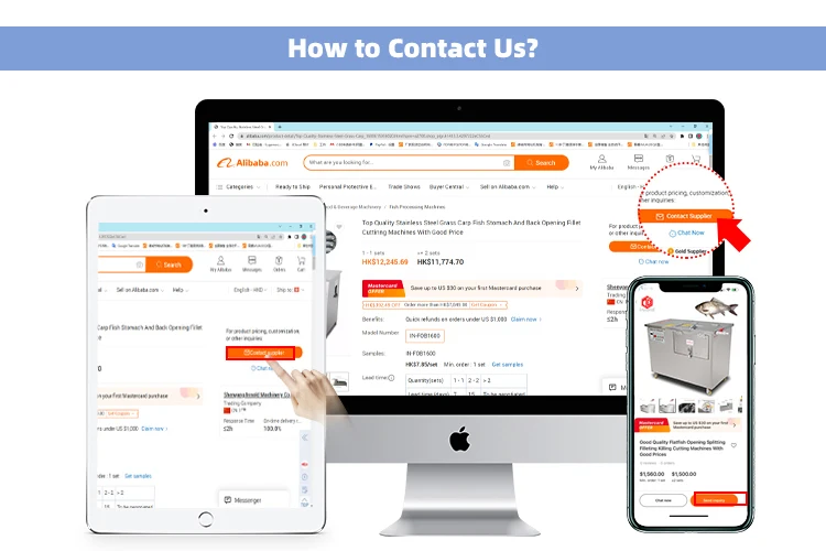 Easy Operation Commercial Remover Fish Scales Machine