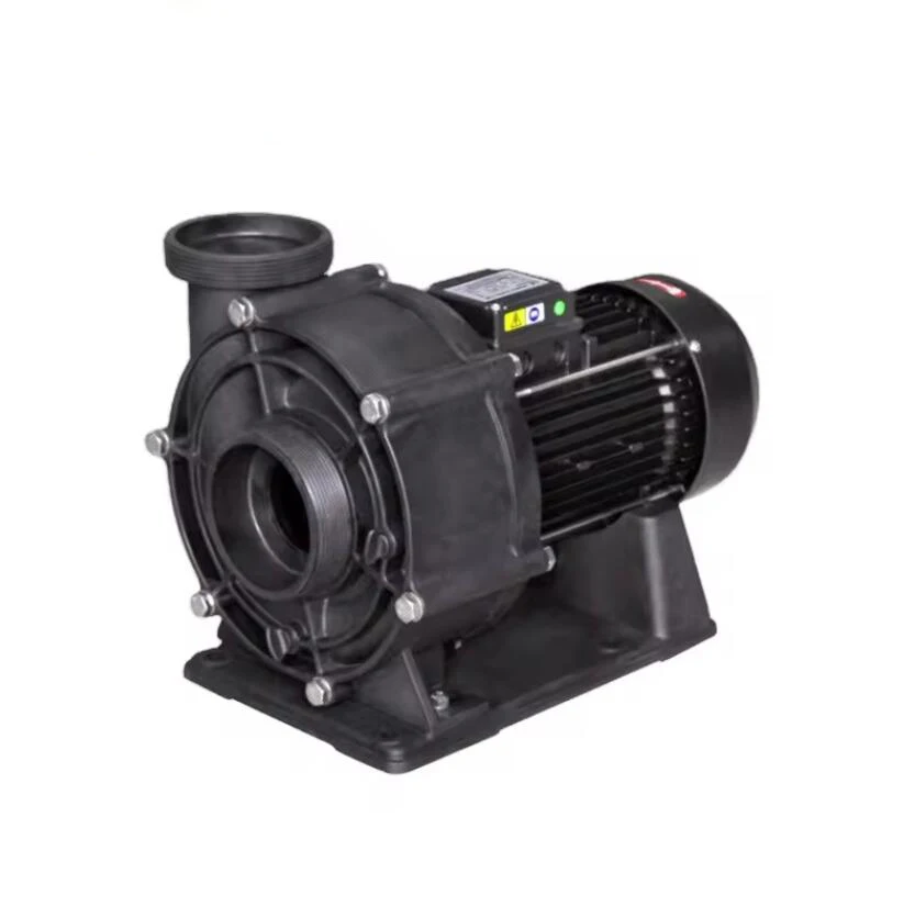 Bathtub Electric Pump for Swimming Pool Factory Price Swimming Pool Pump High Pressure Pool Massage Water Pump