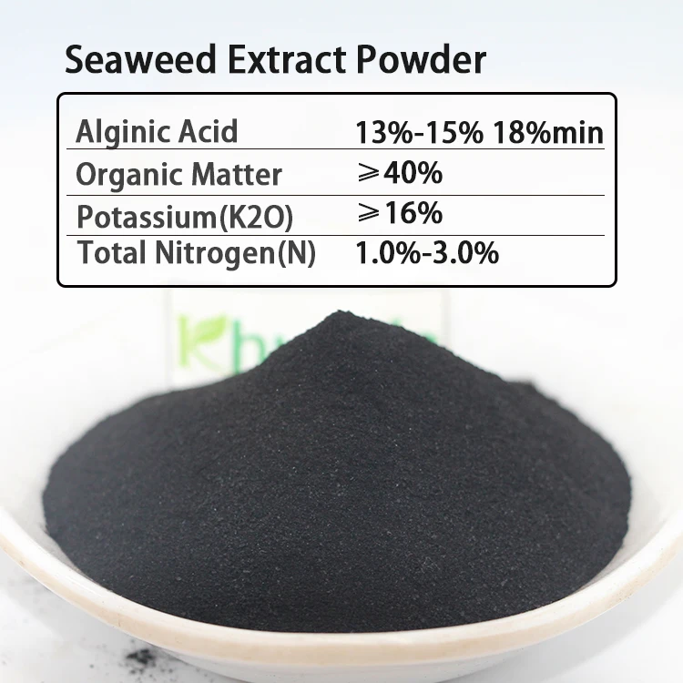 100% fresh nutrients complement 20% root development agent Alginic acid  Factory seaweed extract fertilizer