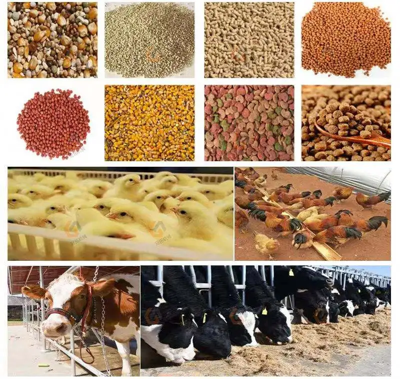 animal feed mixer with capacity 5000kg dairy cow feed mixer double shaft poultry feed mixer