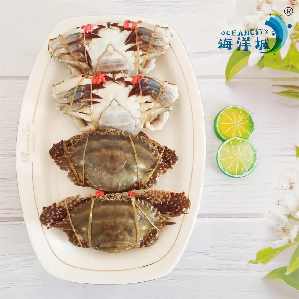 natural Fresh Frozen Seafood Swimming Crab Live Crabs Quick Freezing at -40