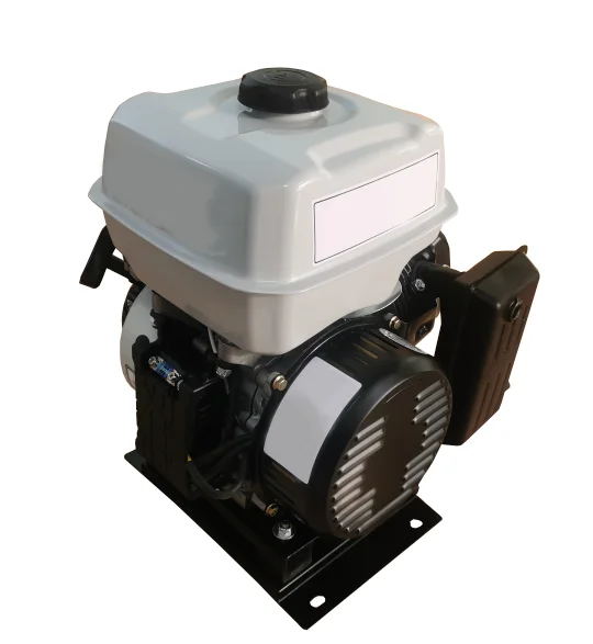 7L Portable gasoline generator durable DC 24V for home and 12/2500 N.m/rpm remote control 170F