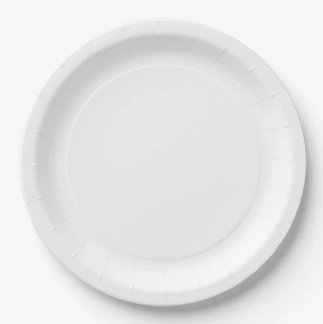 PTPACK Customized Paper Plates Pulp Dinner Plates Disposable Round Plates Biodegradable Tableware