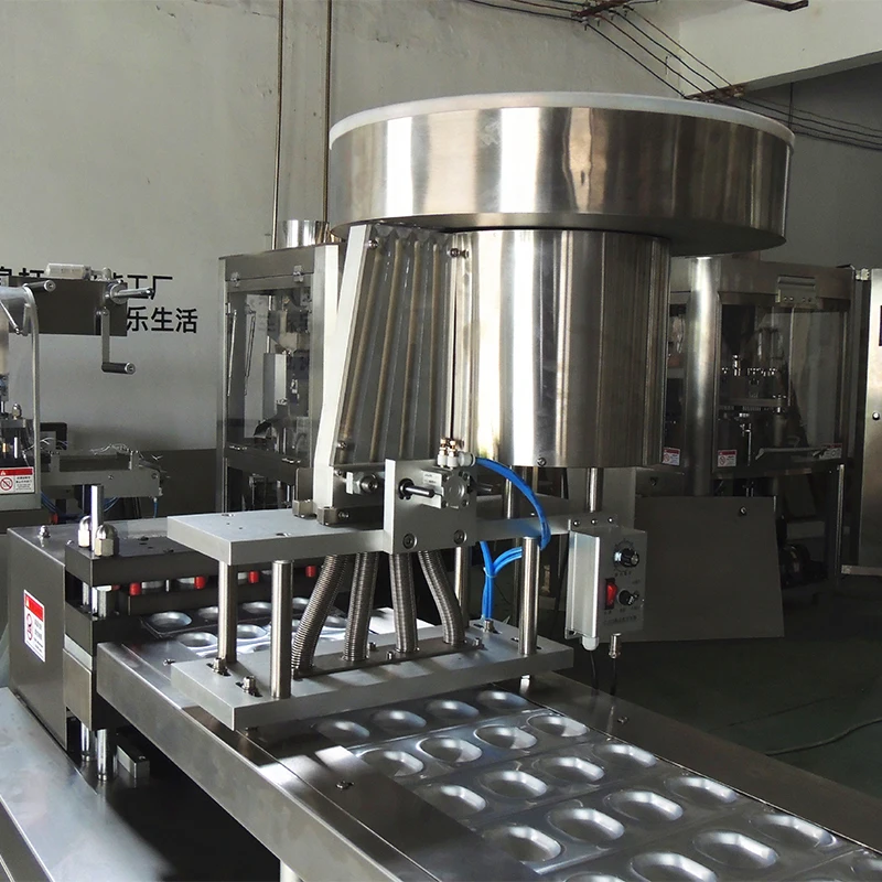 Dpp-270A Veterinary Medicine Alu-Alu/Alu-PVC Blister Packing Machine For Pharmacy