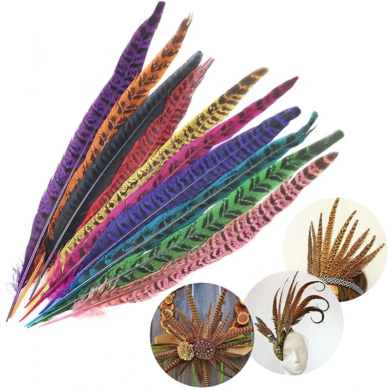 Factory wholesale 10-100cm female male pheasant tail DIY headwear accessories pheasant feather