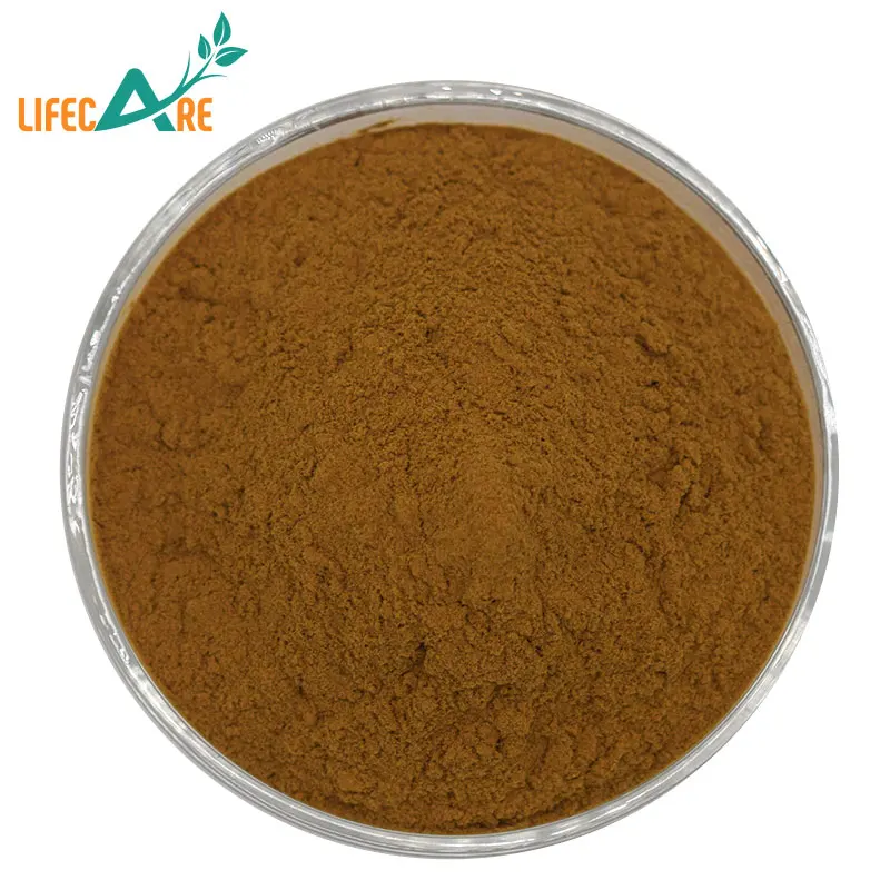 Factory Supply Plant Extract Fo-ti Root Extract Natural Fo-ti Root Powder
