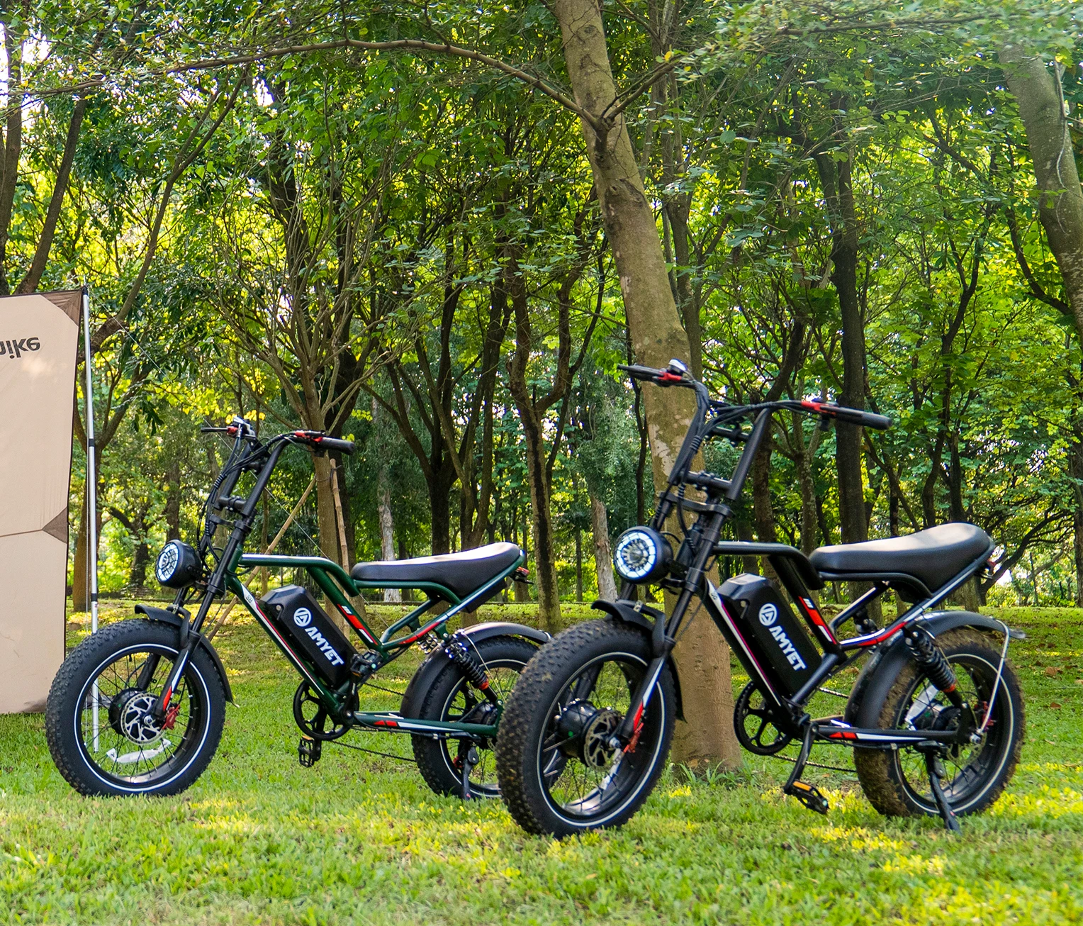 Новый Электрический городской велосипед 1000 Вт бесплатная доставка внедорожный мотоцикл гидравлический тормоз горный электрический литиевая батарея