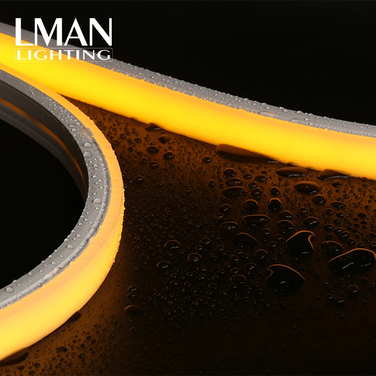 Garden Christmas Festive Decoration Ip65 20*14mm 120led/m Smd 2835 Dc 12v 24v 8w Led Neon Light