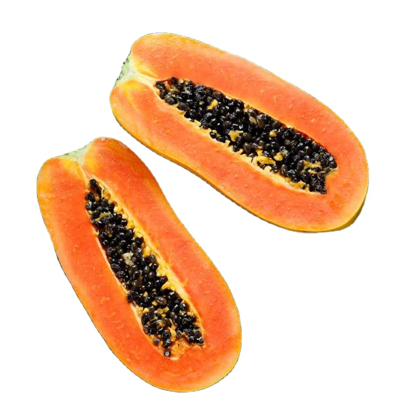 Высококачественные тропические семена папайи 1 фут гибридные фрукты оптовая продажа Лучшая цена Малайзия в
