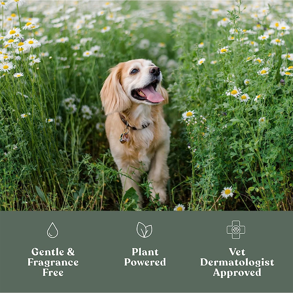 OEM ODM Factory dog paw cleaner pet cleaning silicone washer all-around paw cleaning natural pet paw cleaner