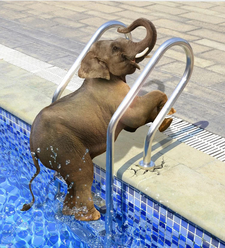 Factory supply good price pool accessories stainless steel 304 2-5 steps swimming pool ladder