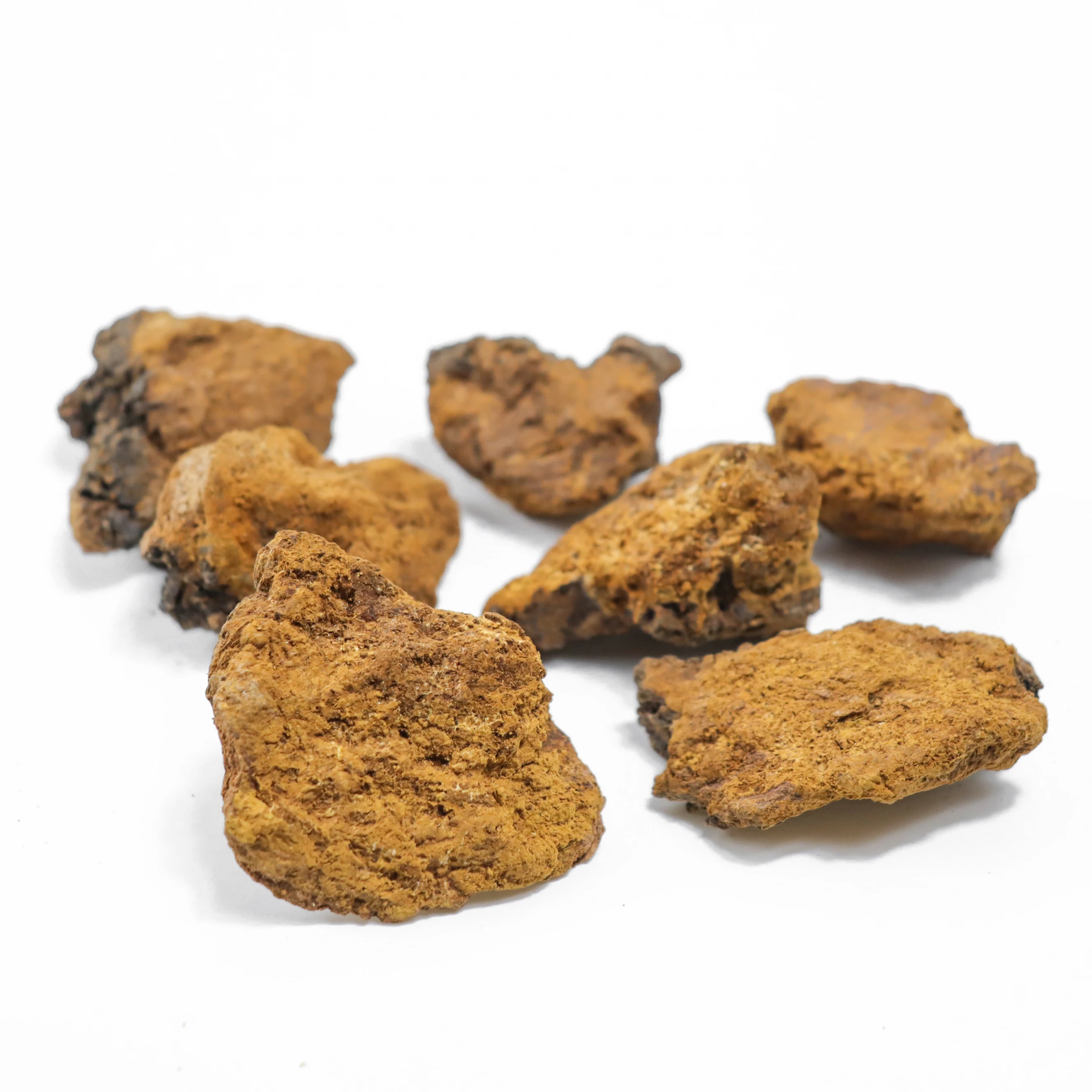 High Quality Bulk dried chaga fungus black chaga mushroom extract