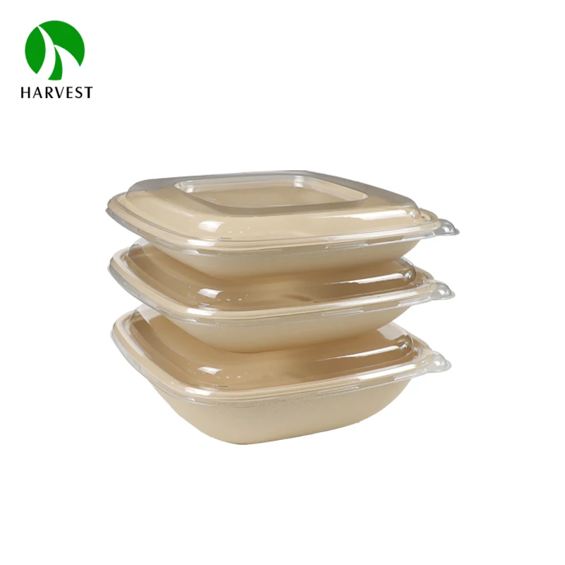 wholesale 24oz 32oz 48oz square one time use ecofriendly pulp salad bowl