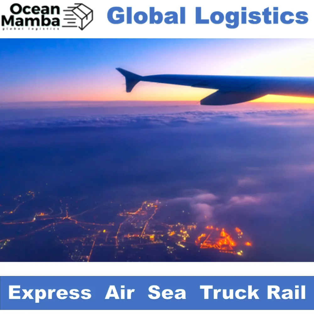 Ocean Mamba logistic service equipment to Azerbaijan India logistics services