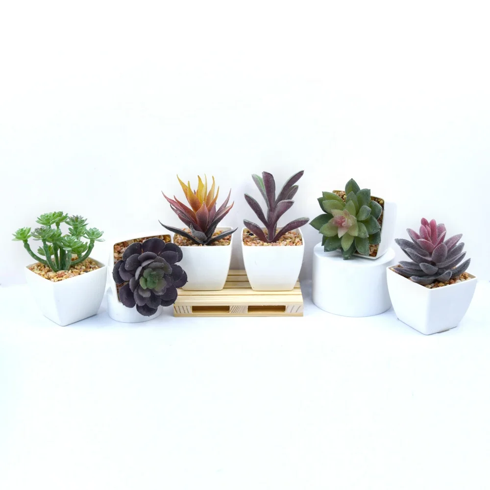 Succulents Home Decoration Square Pot Faux Plastic in Pot for Desktop Hotel Office Lifelike Succulent Plants in White Customized