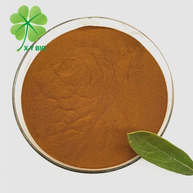 Organic Fertilizer Low Price  Biochemical Fulvic Acid Powder 45%