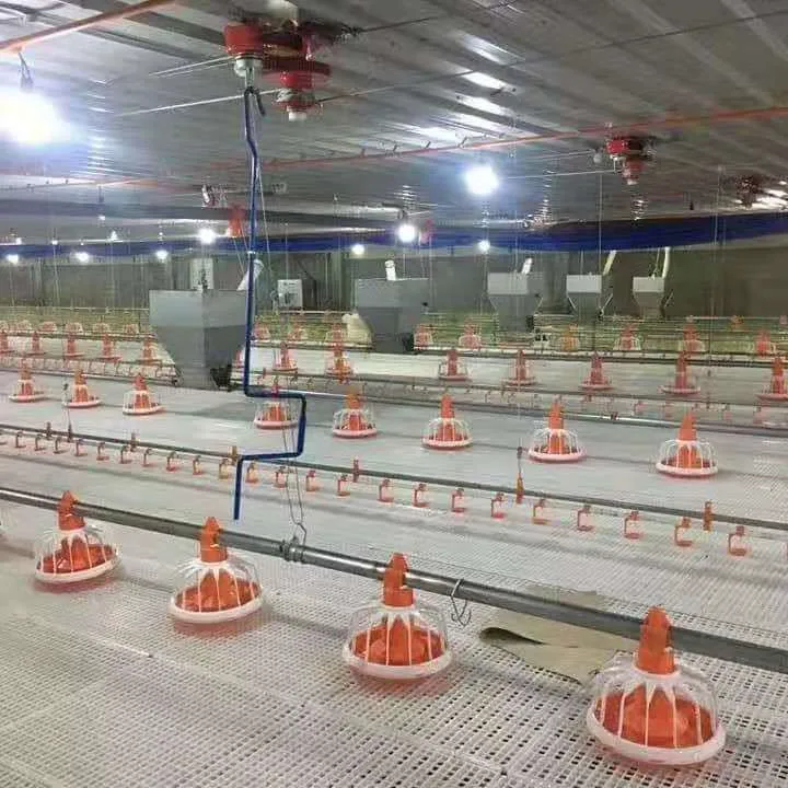 Poultry Farm equipment chicken automatic broiler pan feeding line