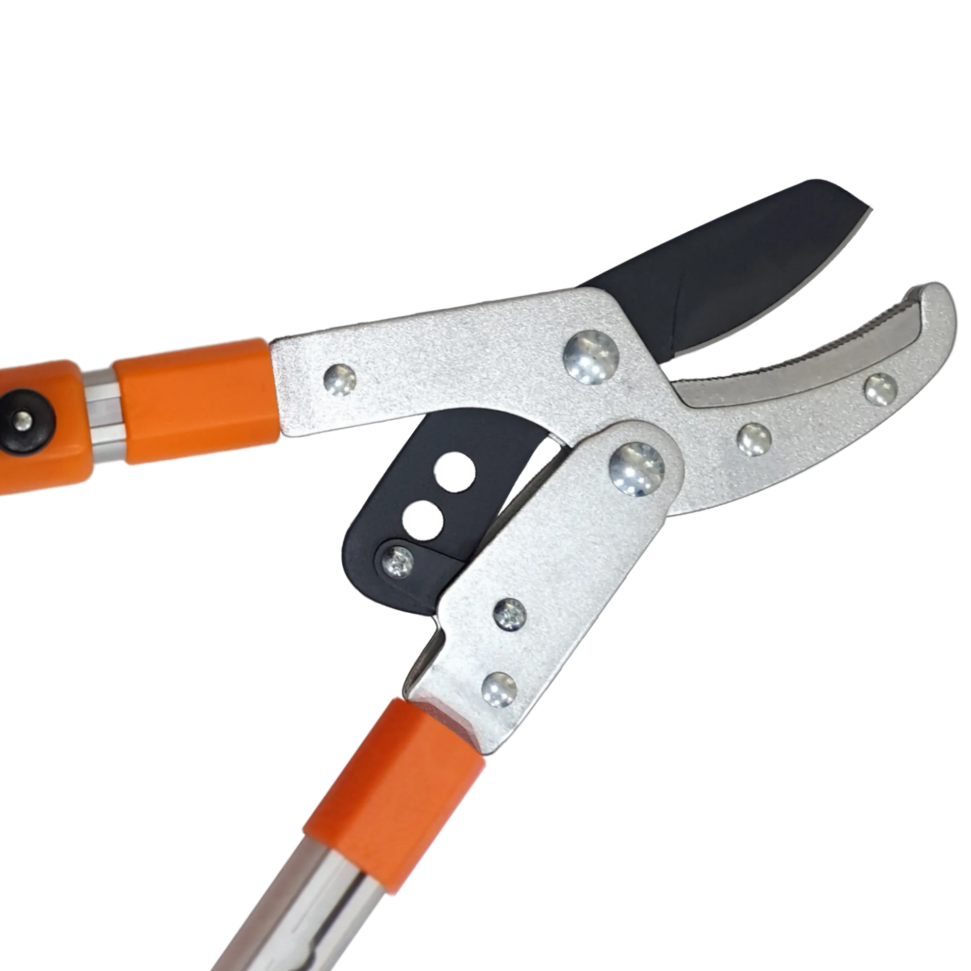 Taiwan Supplier Hc-3121Tw Compound-Action Anvil Lopper Garden Pruning Shears Cutter Long Handle