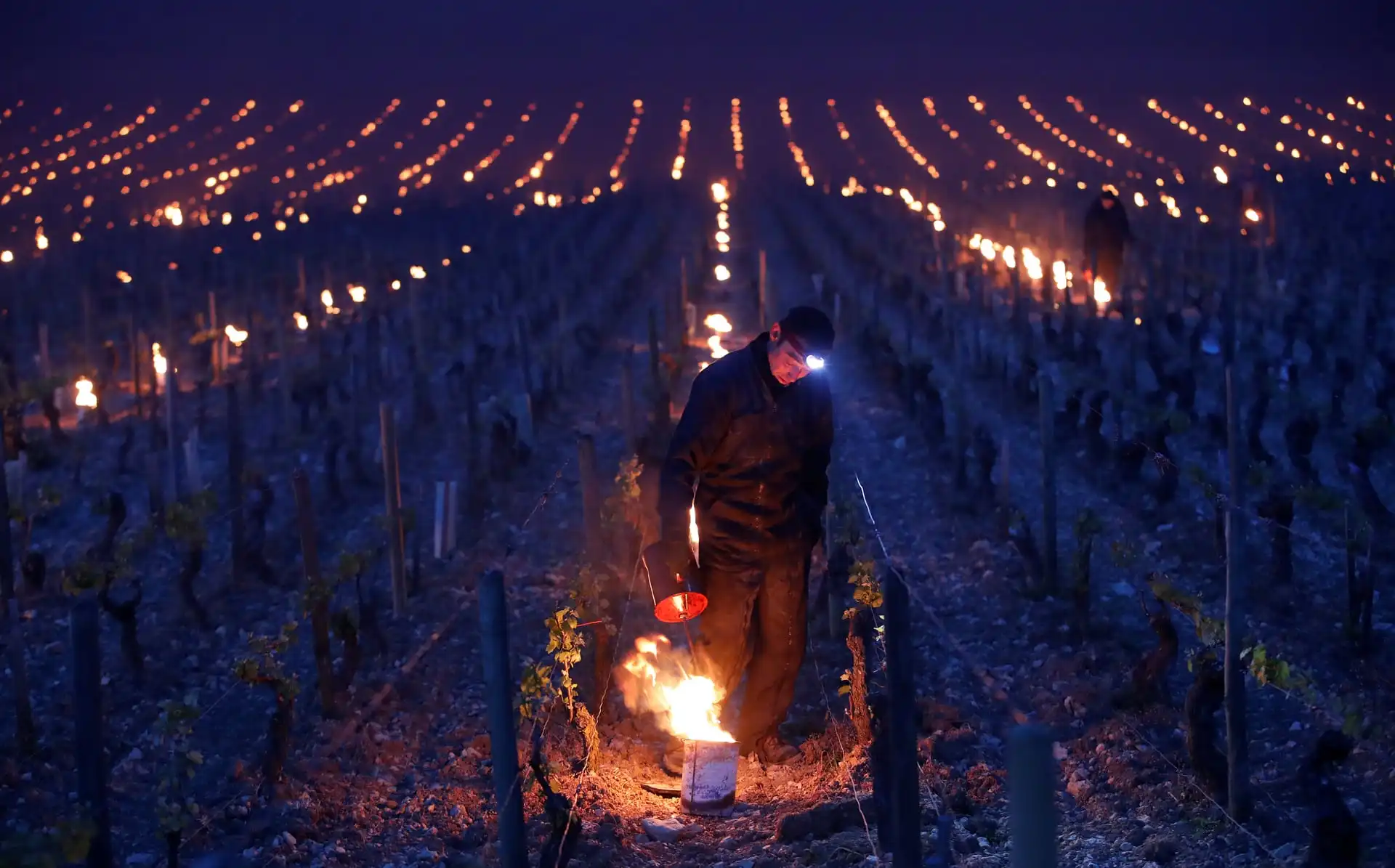 prevent frost vegetable wax antifreeze candle for vineyard orchards use