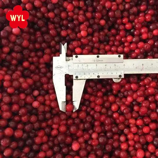 Hot Selling Economical Bulk IQF Frozen Lingonberry High Demand China Frozen Fruits