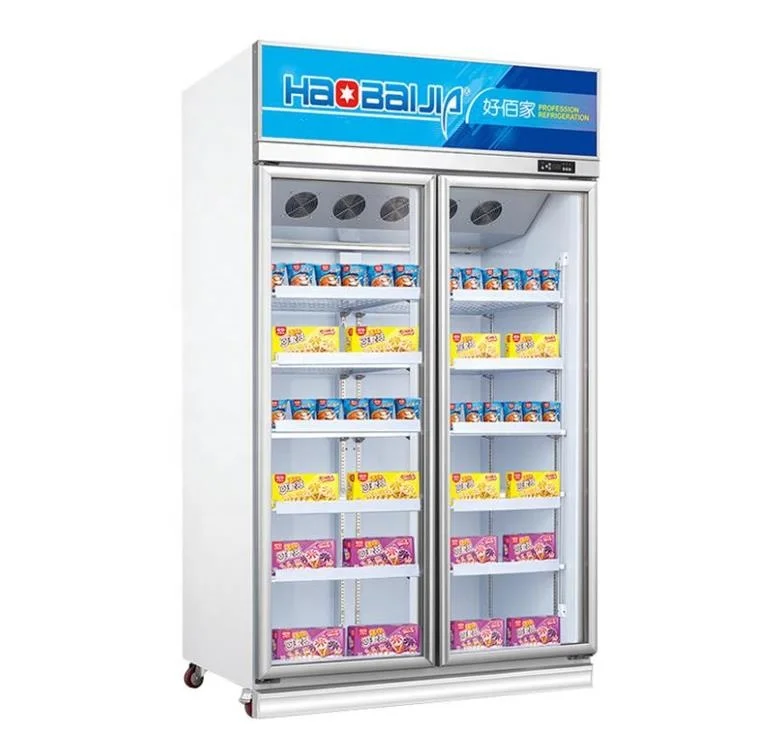 Factory Price Commercial Supermarket Upright 2 Glass Door Freezer Vertical Display Frozen showcase