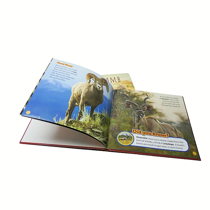 Popular science books printing encyclopedia science book hardcover photo book printing
