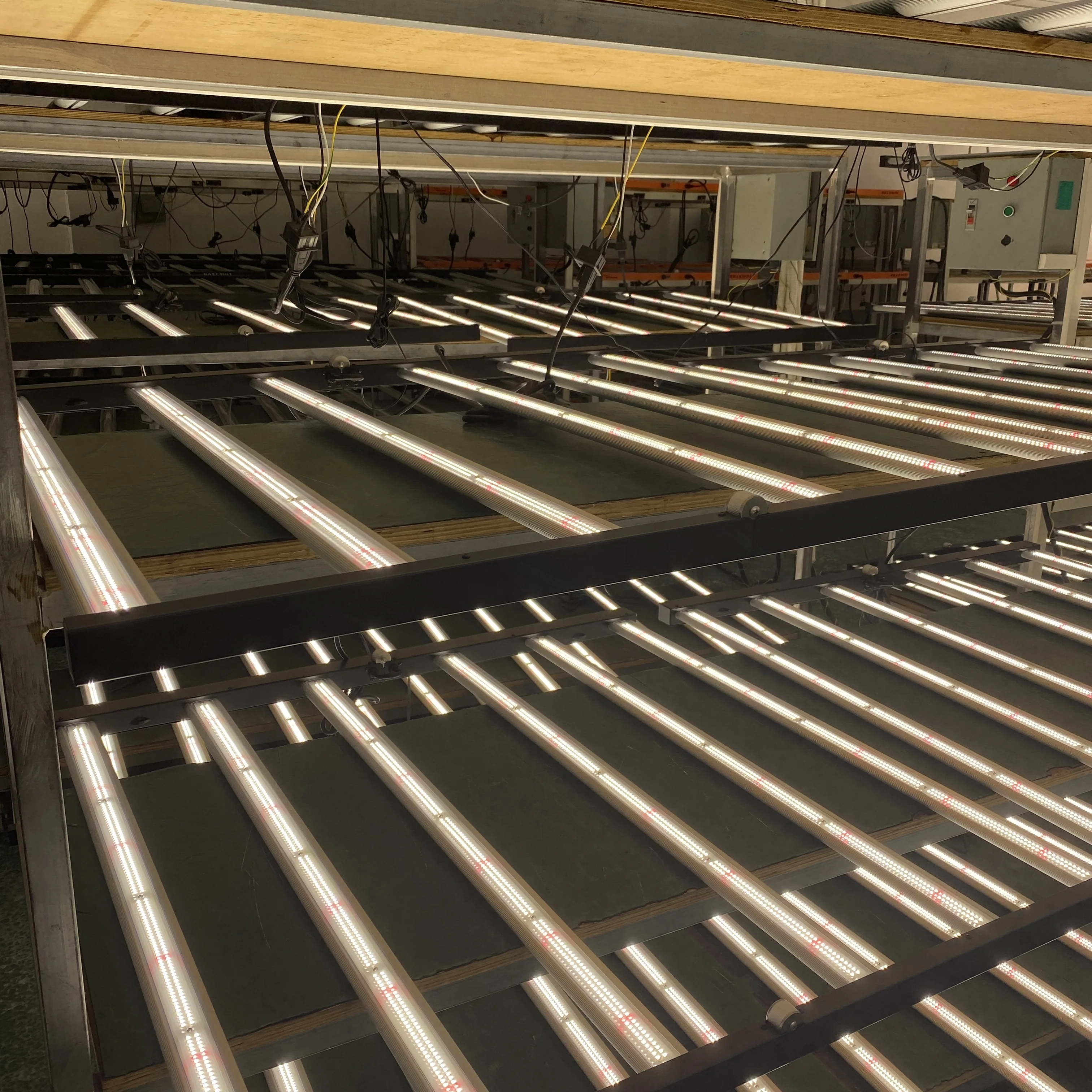 Halo 720W/800W/1000W PPE 2.4/2.7Full Spectrum LED Grow Lights 120-277V 3 years warranty BSCI certified factory Ready to ship 20P