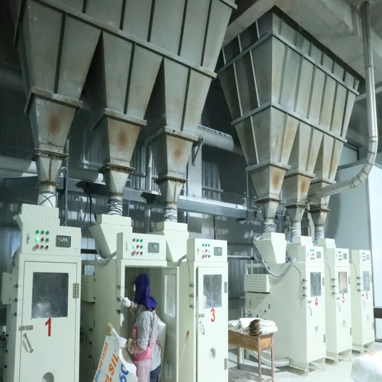 Hydrophilic silica for Thickened thixotropic PVC products