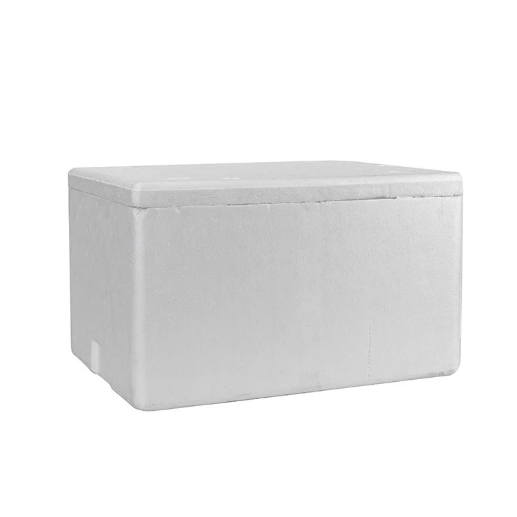 
Hot sale expanding foam for creating custom shipping box esd generate from eps insulated boxes texas with best quality 