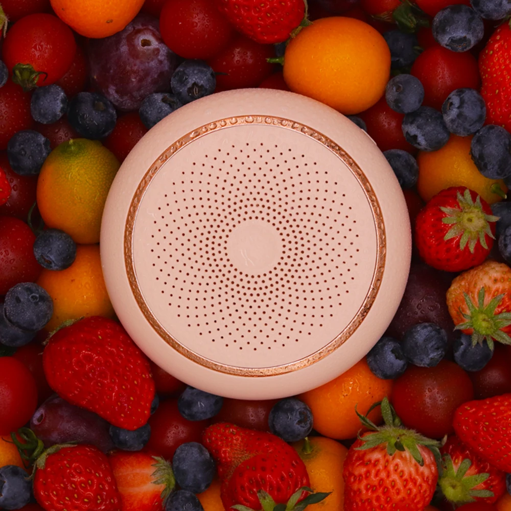 Portable Rechargeable Wireless Ozone Generator Deodorization Sterilizer Mini Air Purifier