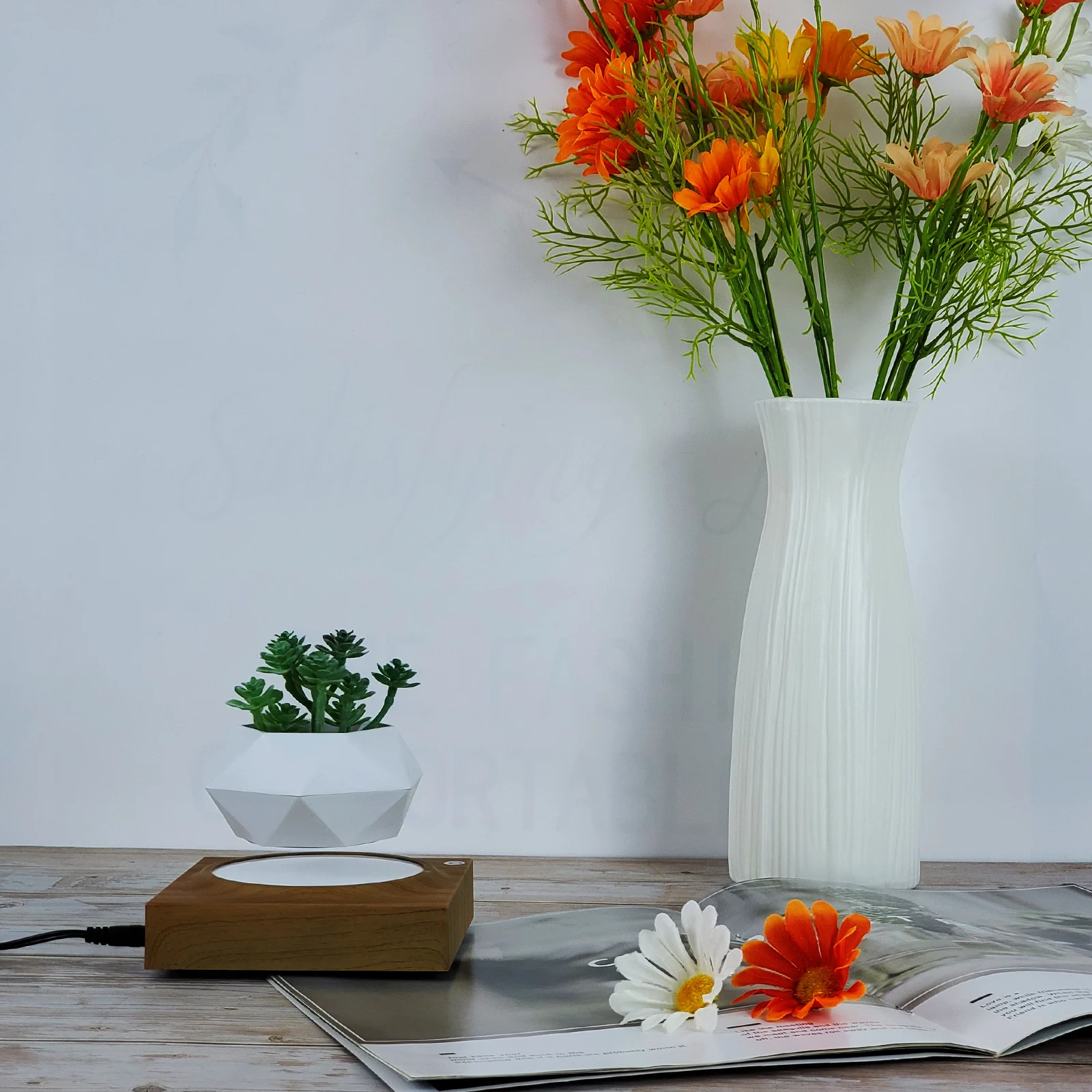 Magnetic Levitating Plant Pot Holder Wood Design Rotating Floating Pot Planter for Home Decorative Pot