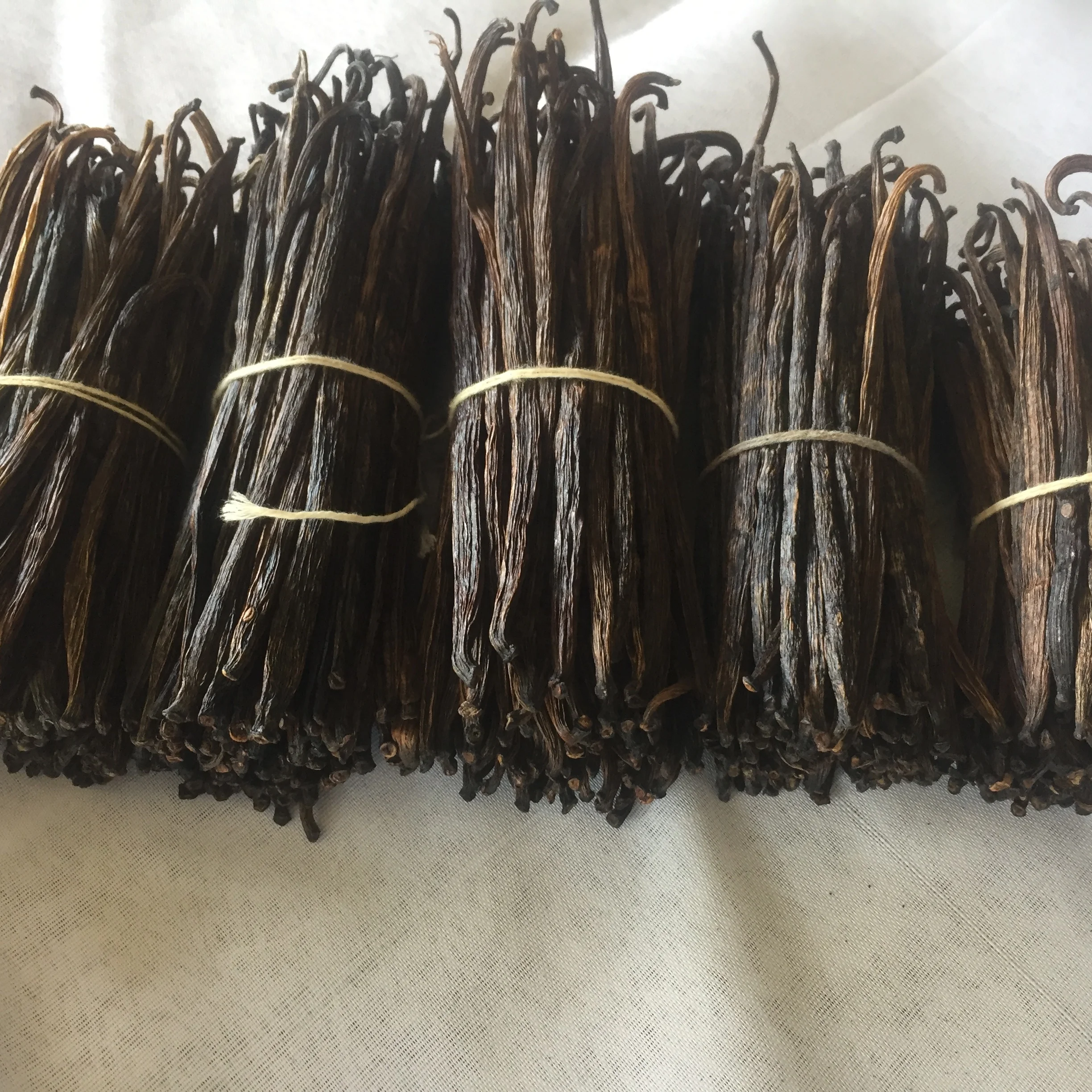 RENDAH PLANIFOLIA GRADE-3 10-11 CM VANILLA BEANS for EXTRACTION Hot Selling Indonesian Best Quality Bourbon with Best Price