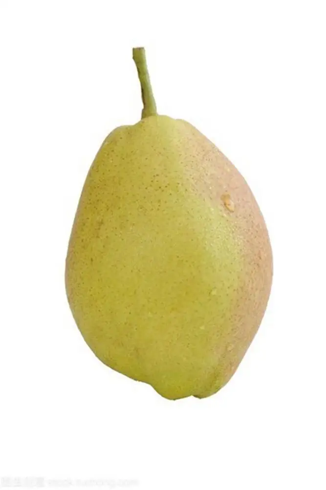 
Manufacturer Best China Green Tasty Fragrant Pear 