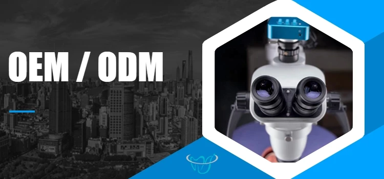 95A635F95276BAD5FF40CC88F0151103