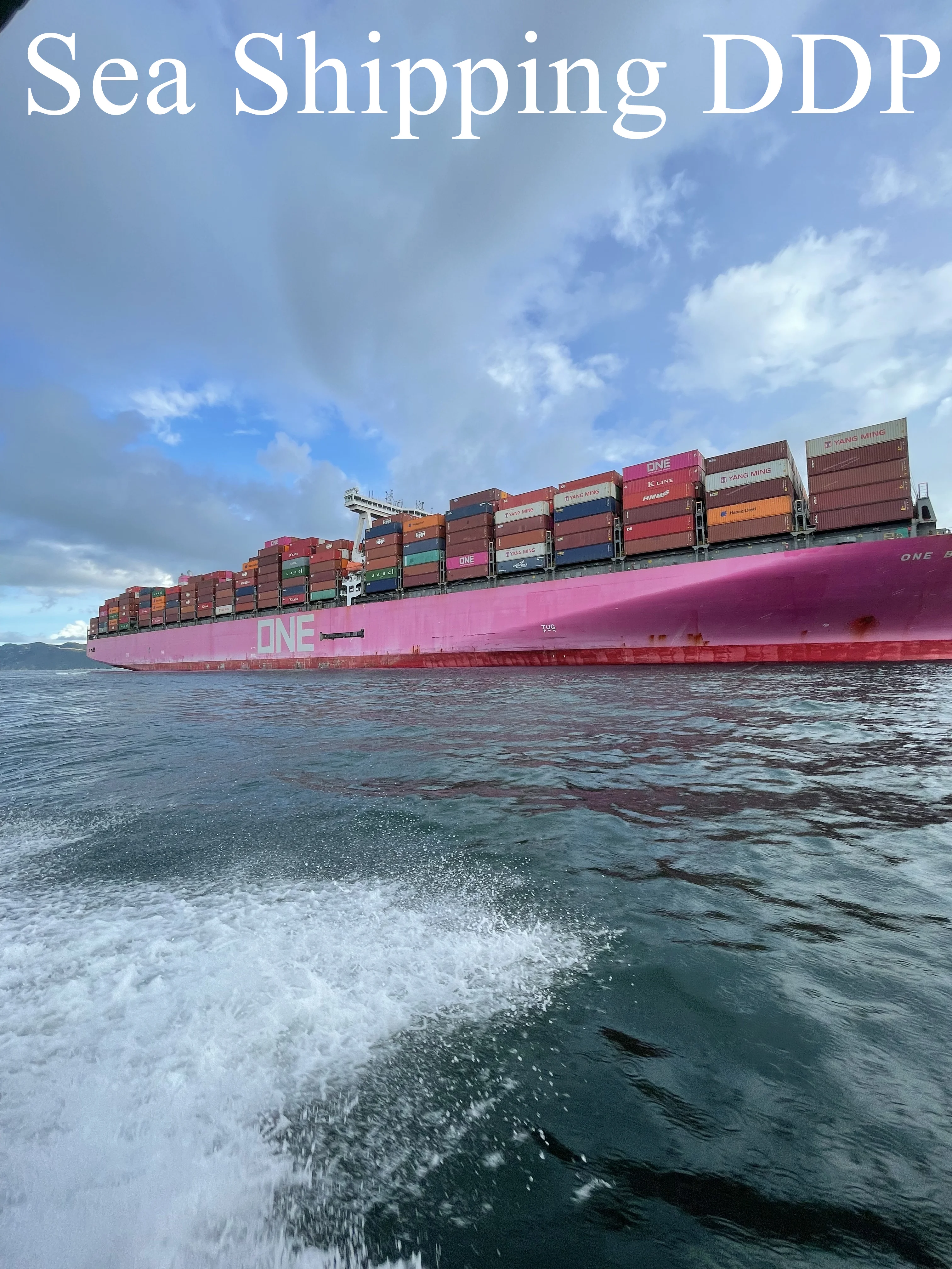 freight forwarder ddp sea freight shipping china to USA