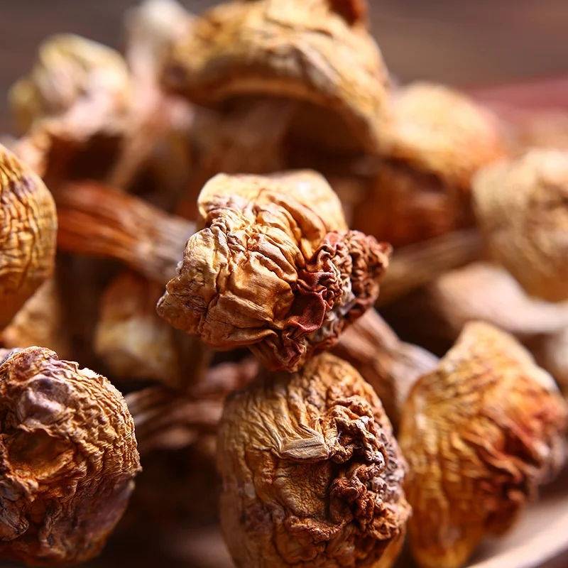 YINING Wholesale Natural Dried Agaricus Blazei High Quality magic mushroom