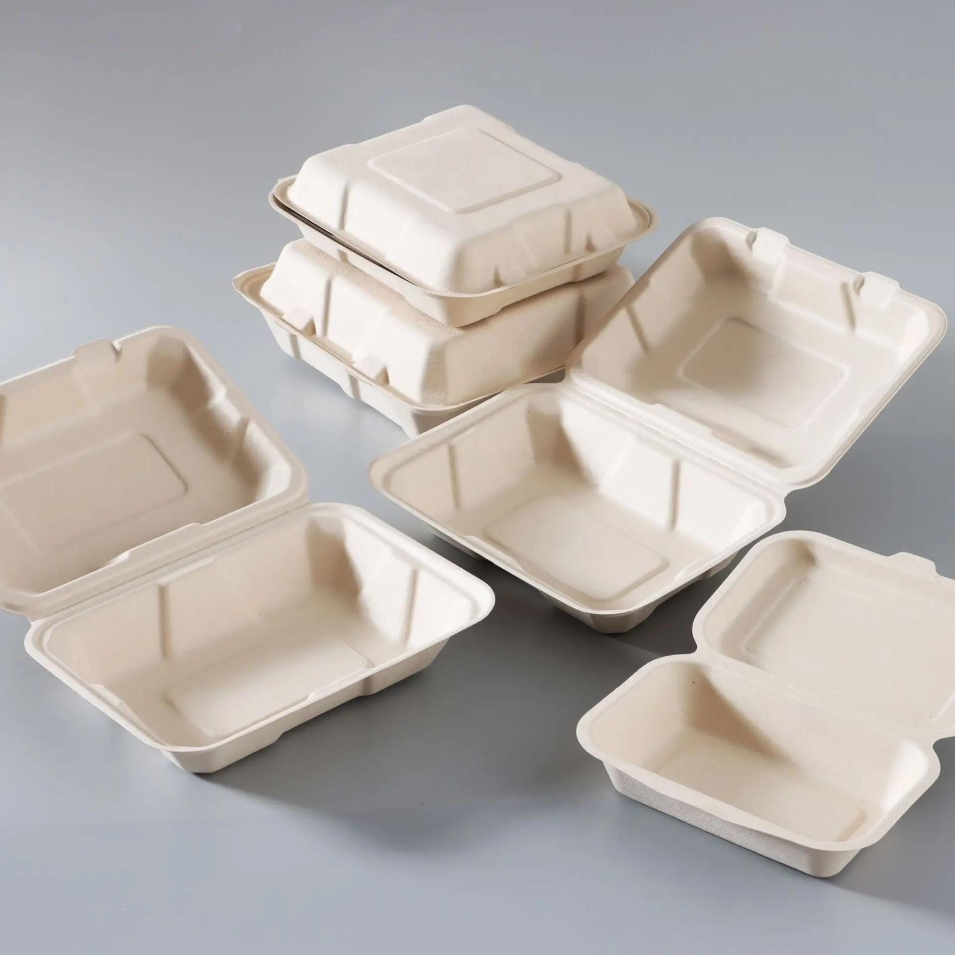 Bagasse 9x6 inch  bagasse clamhsell box lunch box food container