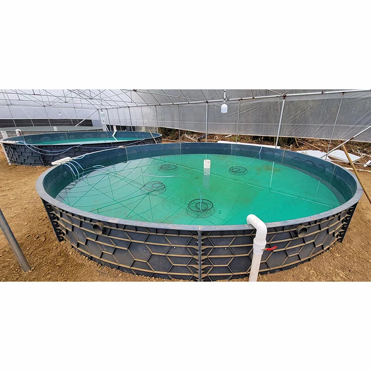 Сельскохозяйственное оборудование для аквакультуры CATAQUA Tilapia, аквариум для рыбного пруда