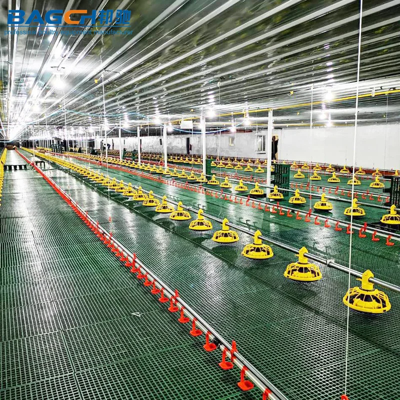 Broiler Poultry Farming Equipment H type Ground Automatic Broiler Chicken Farming Equipment
